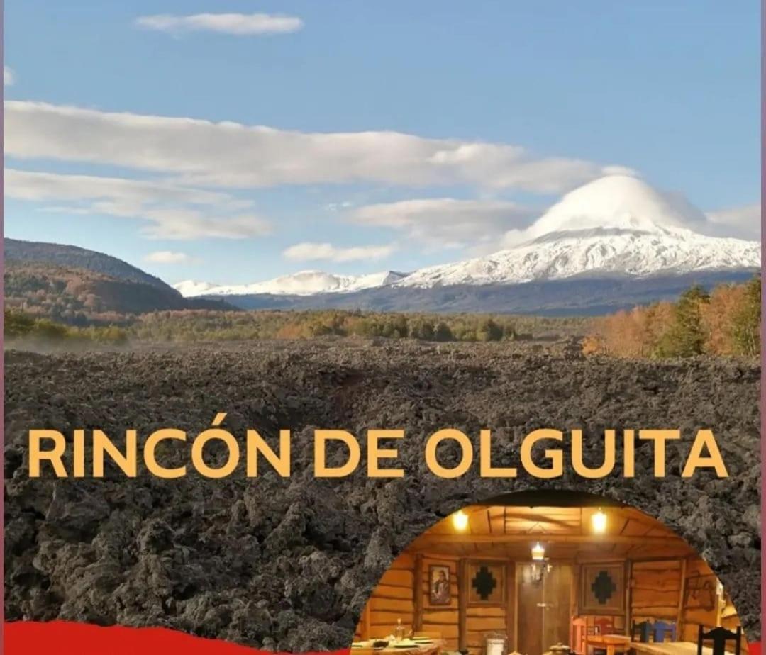 El Rincon de la Olguita Villa Curacautín Exterior foto